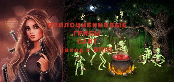 МДПВ Сосновоборск