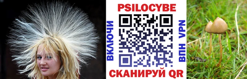 Псилоцибиновые грибы Psilocybine cubensis Купить закладки Славянск-на-Кубани